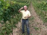 Weinstube Zur Laube Peter Terges in Trier - Mosel - Weingut
