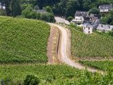 Weinstube Zur Laube Peter Terges in Trier - Mosel - Weingut