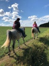 Schöne Aussicht von der Schönecker Burg