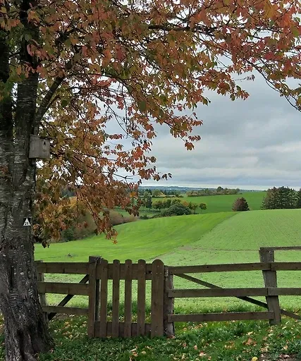 Appartement Eichhörnchen im Haus Eifelstein