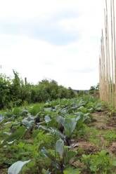 Ferienhaus Landhaus Almyssen