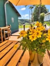 Pension Harmony Holiday