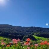 Pension Bäuerle Hof