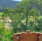 Pension Bäuerle Hof