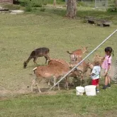 Hotel Marienthaler Hof