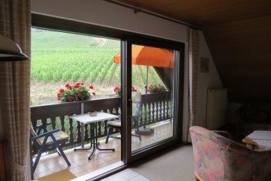 BARRIEREFREIE FERIENWOHNUNG LAVENDEL MIT PFLEGEBETT, MOSELBLICK, für Gäste mit eingeschränkter Beweglichkeit -  Rollstuhlfahrer -   kostenloses WLAN - Ferienweingut