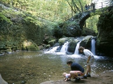 Camping Altschmiede **** - Ferienhäuser, Kanuverleih, Animation und Gastronomie