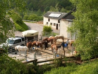 Camping Toodlermillen