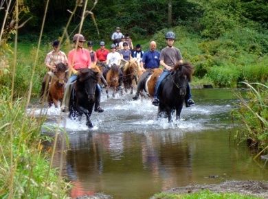 Camping Toodlermillen
