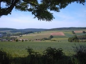 Hotel Irene und Appartementanlage Ina - im Gesundheitsviertel von Bad König