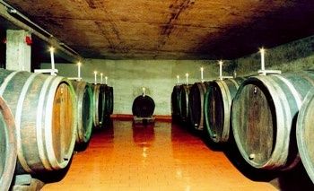 Wein- und Gästehaus Kappes - Panoramablick auf Mosel und Burg Landshut