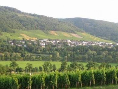 Wein- und Gästehaus Kappes - Panoramablick auf Mosel und Burg Landshut