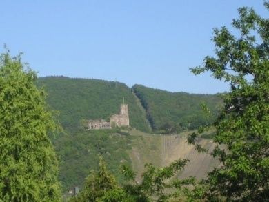 Wein- und Gästehaus Kappes - Panoramablick auf Mosel und Burg Landshut