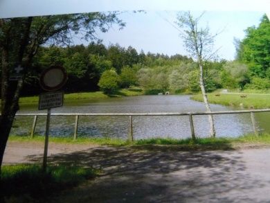 Ferienwohnung Renate im Herzen der Vulkaneifel