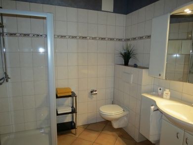 Feriendomizil  Veilchen im Landhaus Mosel  , Panoramafenster im Wohnzimmer,  Balkon mit Moselblick, großzügig eingerichtet mit 2 Schlafräumen  kostenloses WLAN,  herrlicher Moselblick