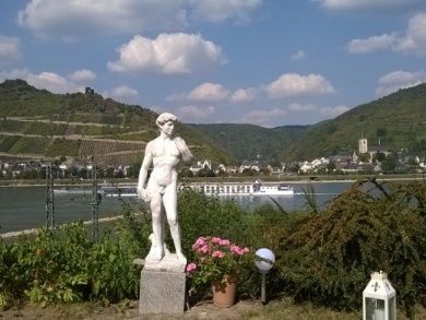 Blick vom Garten auf den Rhein