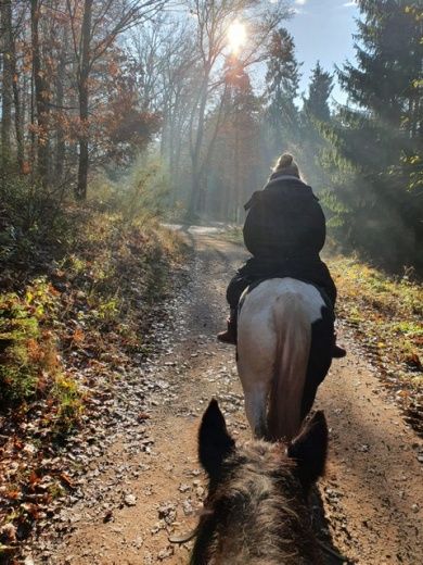  River Ranch, Urlaub für Erwachsene & Jugendliche ab 10 Jahre.