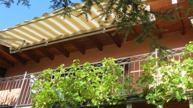 BARRIEREFREIE FERIENWOHNUNG LAVENDEL MIT PFLEGEBETT, MOSELBLICK, für Gäste mit eingeschränkter Beweglichkeit -  Rollstuhlfahrer -   kostenloses WLAN - Ferienweingut