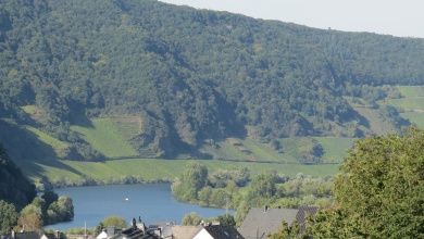BARRIEREFREIE FERIENWOHNUNG LAVENDEL MIT PFLEGEBETT, MOSELBLICK, für Gäste mit eingeschränkter Beweglichkeit -  Rollstuhlfahrer -   kostenloses WLAN - Ferienweingut