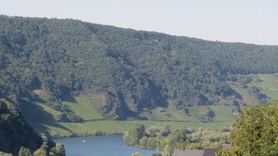 BARRIEREFREIE FERIENWOHNUNG LAVENDEL MIT PFLEGEBETT, MOSELBLICK, für Gäste mit eingeschränkter Beweglichkeit -  Rollstuhlfahrer -   kostenloses WLAN - Ferienweingut