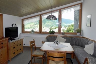 BARRIEREFREIE FERIENWOHNUNG LAVENDEL MIT PFLEGEBETT, MOSELBLICK, für Gäste mit eingeschränkter Beweglichkeit -  Rollstuhlfahrer -   kostenloses WLAN - Ferienweingut