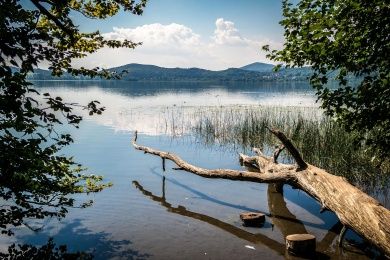 5 Sterne Ferienhaus Susi am idyllischen Waldsee Rieden
