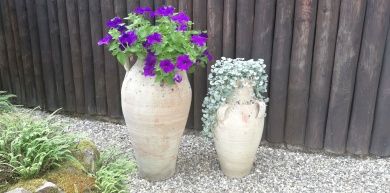 Barrierefreie-Parterre-Ferienwohnung **** Senheim Mosel