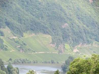 Ferienwohnung Glockenblume im Landhaus Mosel    mit Traumblick ins Moseltal -  2 Doppelzimmer-jedes mit eigener Du/WC