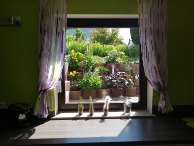 Ferienwohnung Steeg  