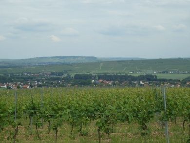 Ferienwohnung Steeg  
