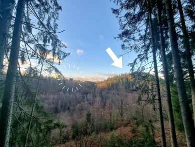 Ferienhaus und Ferienwohnungen Pfalzperle