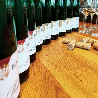 Pension 1595 im Weingut Botzet