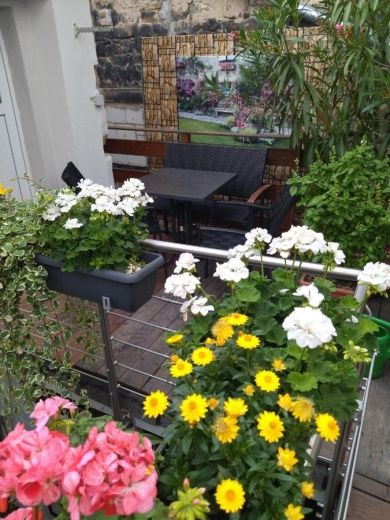Ferienhäuschen am Heumarkt