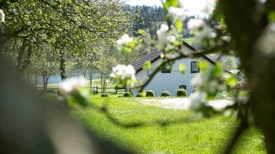 Ferienpark Rursee