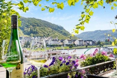 Beim Weinbauer - Hotel & Weinbar