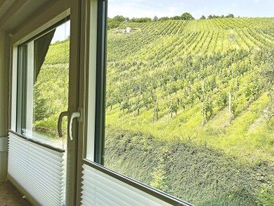 Pension 1595 im Weingut Botzet