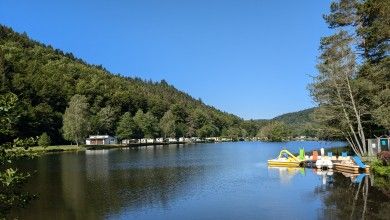 Camping Clausensee im Naturpark Pfälzerwald