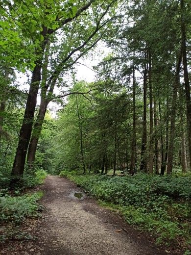 Ferienwohnung Klein im Nationalpark Eifel