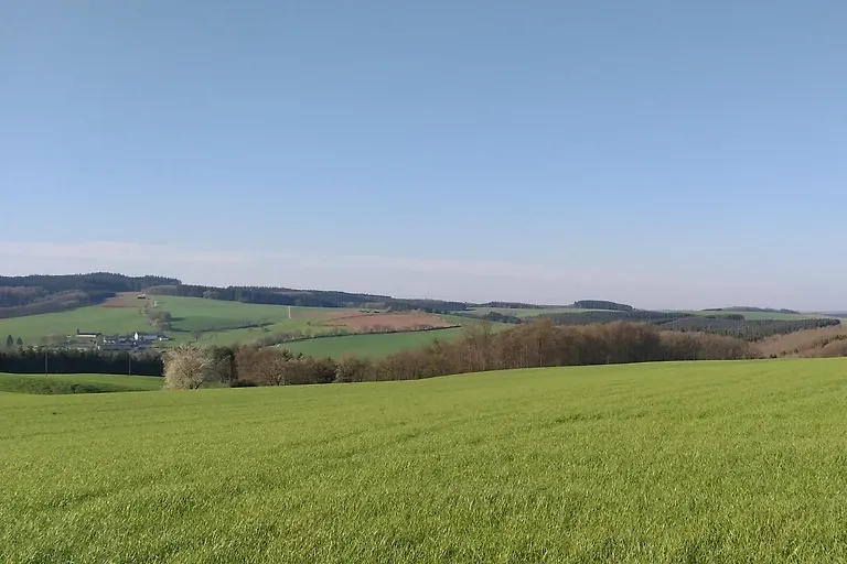 Appartement Eichhörnchen im Haus Eifelstein