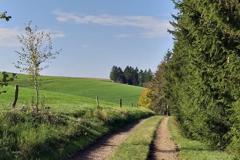 Appartement Eichhörnchen im Haus Eifelstein