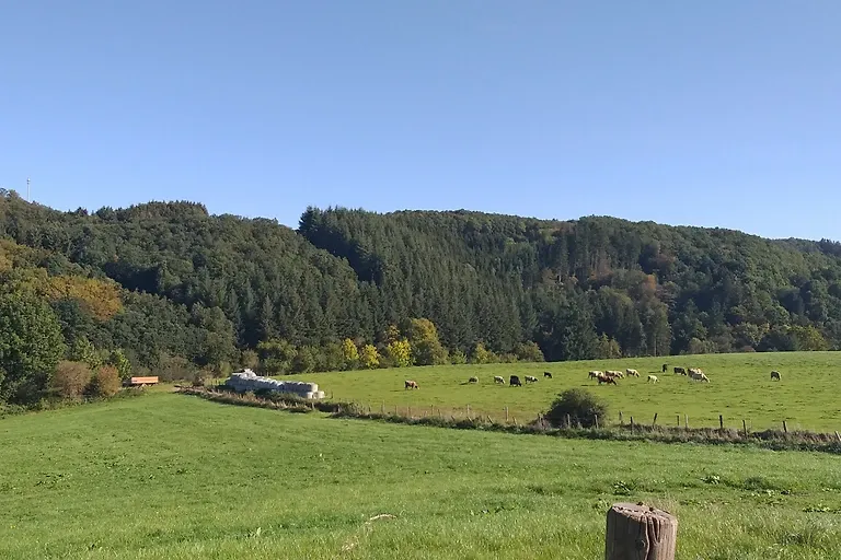 Appartement Eichhörnchen im Haus Eifelstein