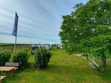 Wein- und Sektgut Rebenhof