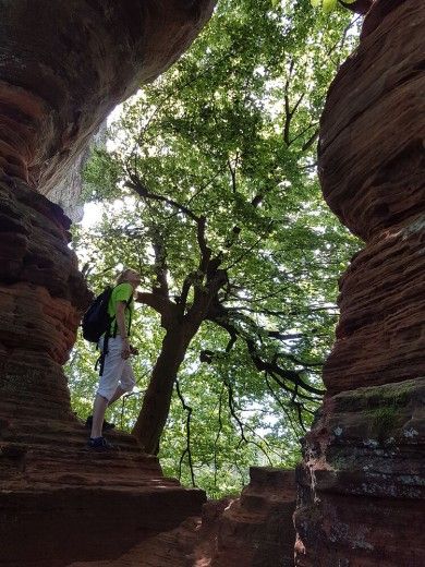 Altschlossfelsen Eppenbrunn