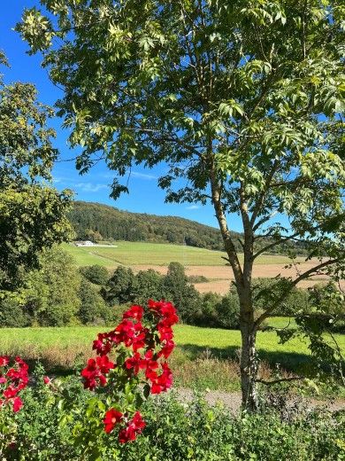 NETTEN Naturerlebnis Holz-Chalets