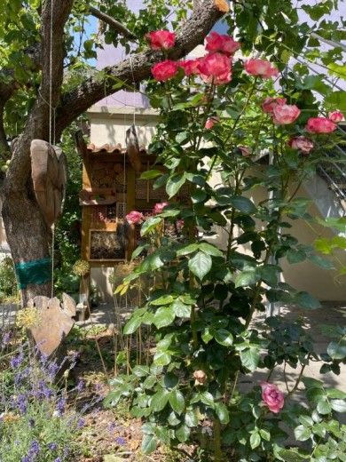 Boutique-Guesthouse Jugendstil-Hof