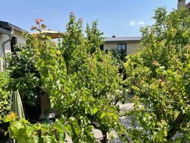 Boutique-Guesthouse Jugendstil-Hof