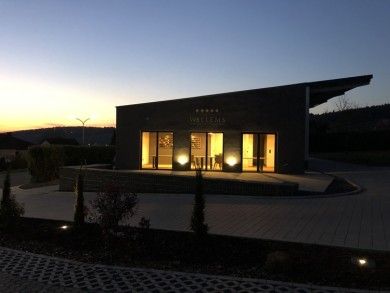 Weingut-Ferienwohnung Willems
