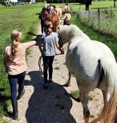 Wanderreiten auf der Schwäbischen Alb