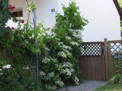 Ferienhaus Auf der Ebest