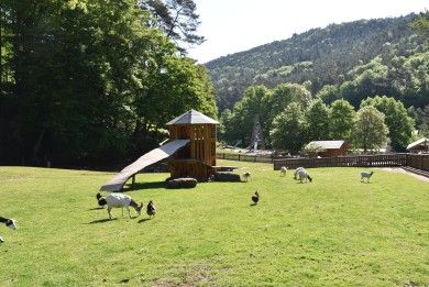 Wild- und Wanderpark bei Silz